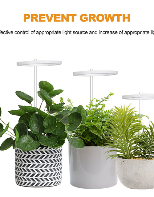 Load image into Gallery viewer, LED Grow Light Full Spectrum Phyto Grow Lamp USB Phytolamp for Plants 5V Lamp for Plants Growth Lighting for Indoor Plant
