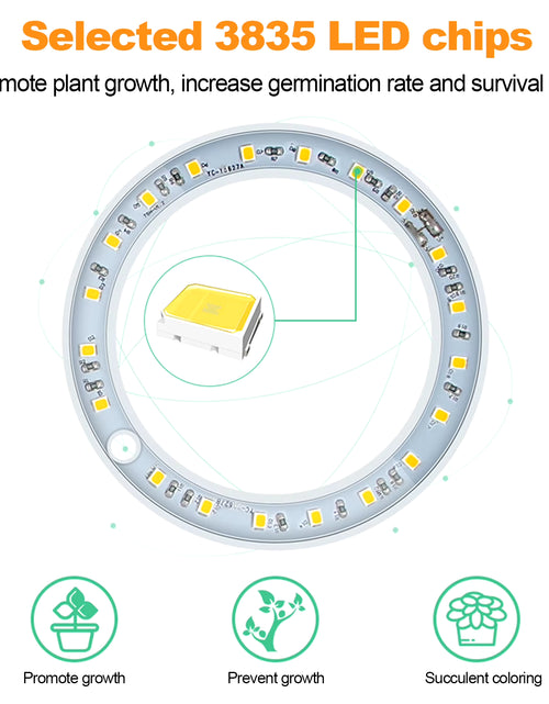 Load image into Gallery viewer, LED Grow Light Full Spectrum Phyto Grow Lamp USB Phytolamp for Plants 5V Lamp for Plants Growth Lighting for Indoor Plant
