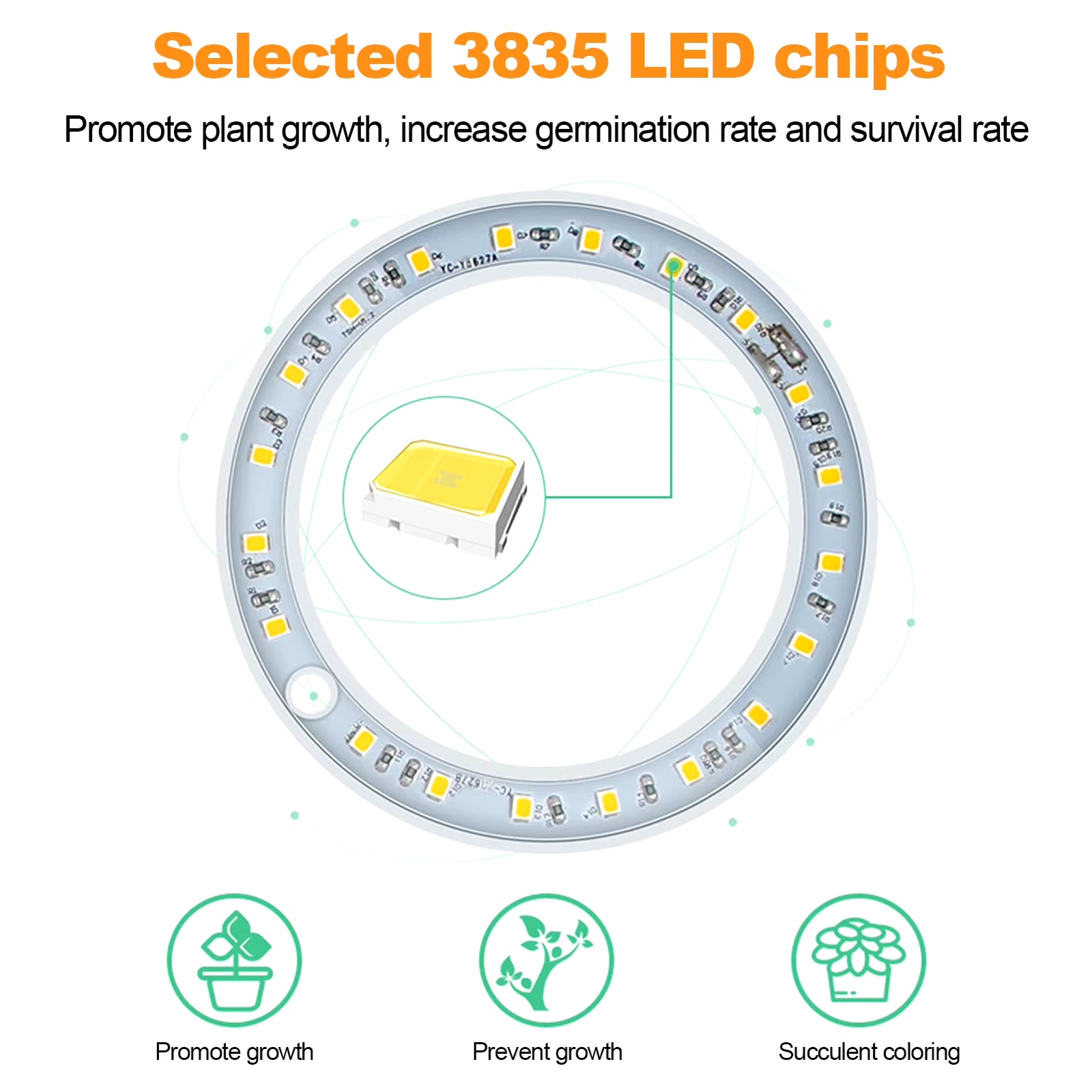 LED Grow Light Full Spectrum Phyto Grow Lamp USB Phytolamp for Plants 5V Lamp for Plants Growth Lighting for Indoor Plant