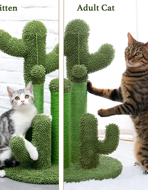 Load image into Gallery viewer, 23&quot; Cactus Cat Scratching Posts Medium Sisal Cat Scratcher,Green
